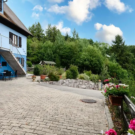 Appartement Le Bouleau - Les 4 Vents Thannenkirch